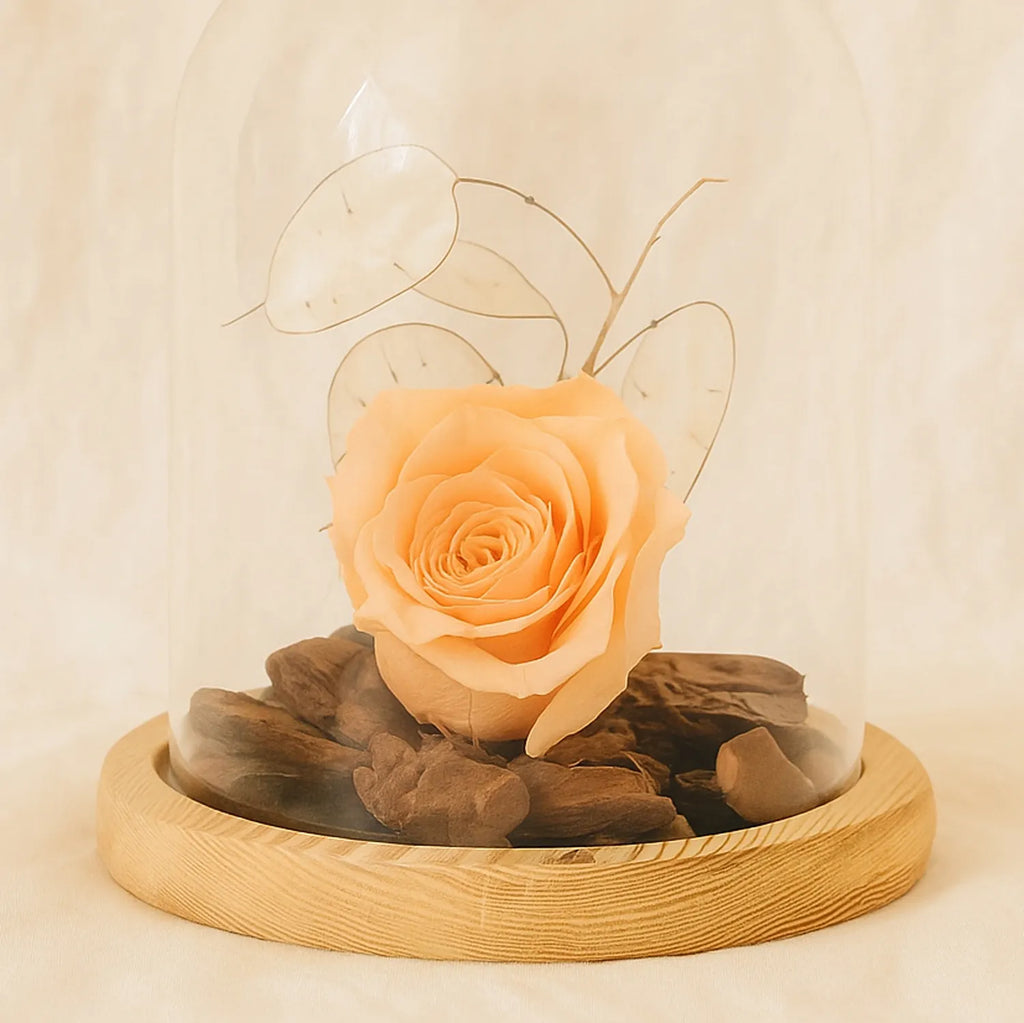 Forever Rose In Glass Dome- Peach