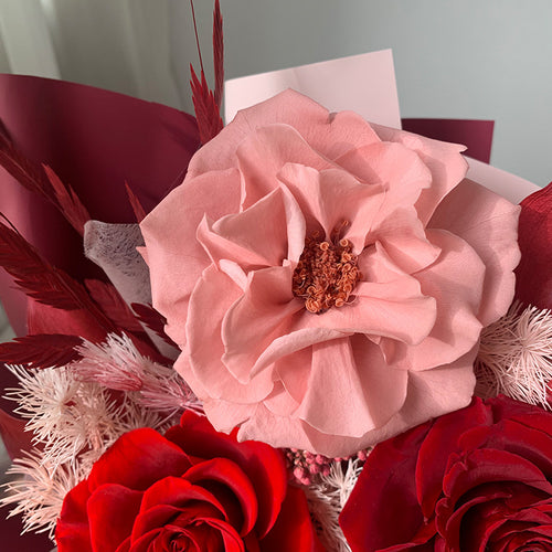 Blush of Love