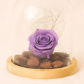 Forever Rose In Glass Dome- Purple