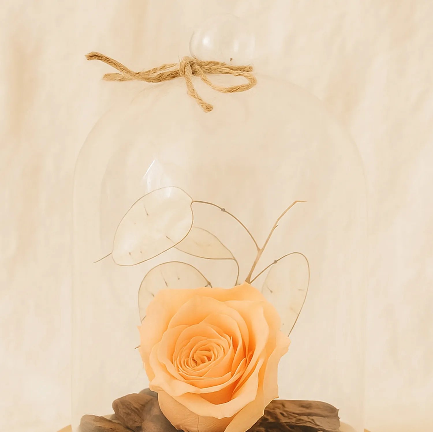 Forever Rose In Glass Dome- Peach