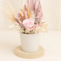 Graceful Pink Preserved Flower Vase