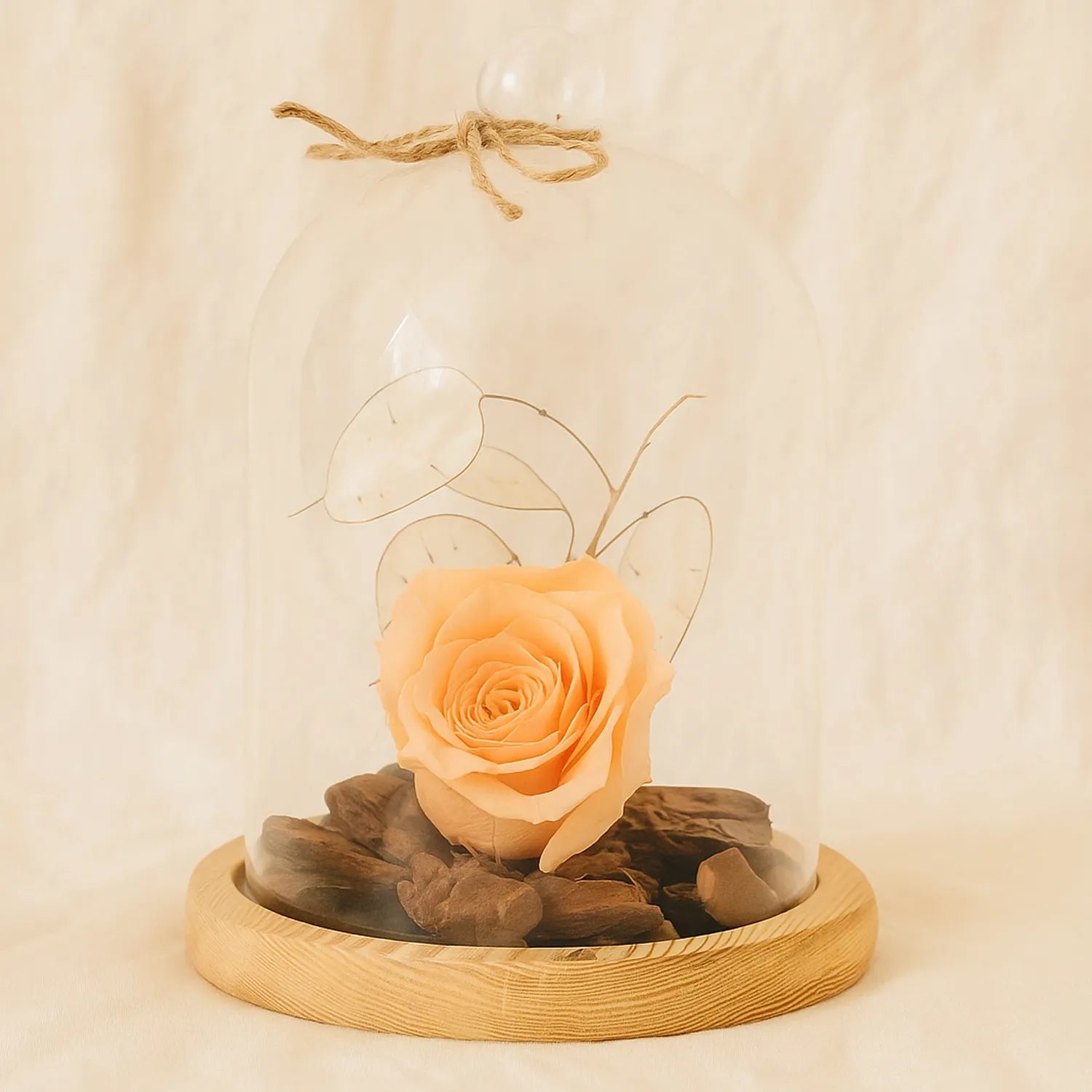 Forever Rose In Glass Dome- Peach