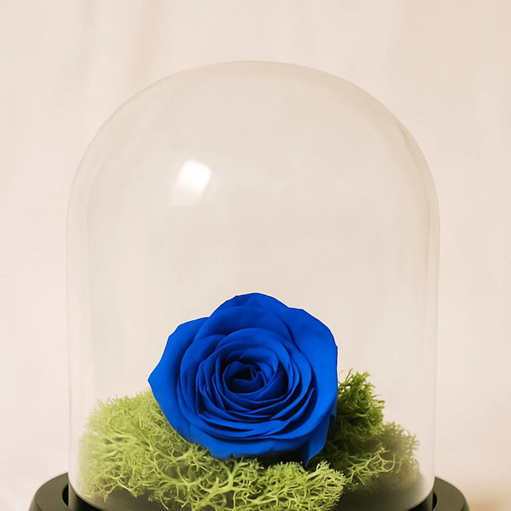 Forever Rose In Glass Dome- Blue